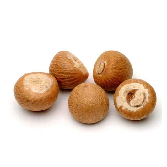 Bettel Nut Exporters, Wholesaler & Manufacturer | Globaltradeplaza.com
