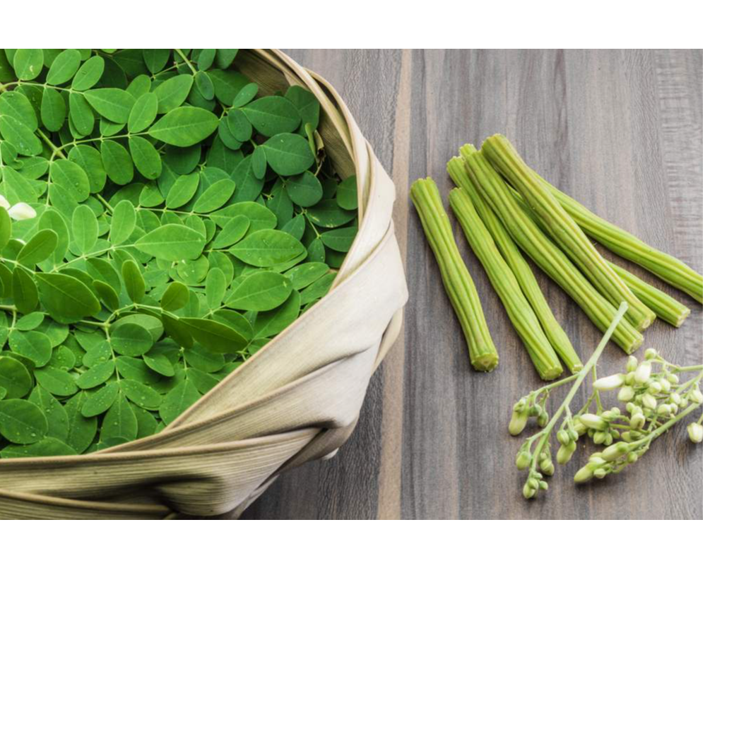 buy-moringa-seeds-and-leaves-online-from-exporters-sellers-and-suppliers-in-nigeria