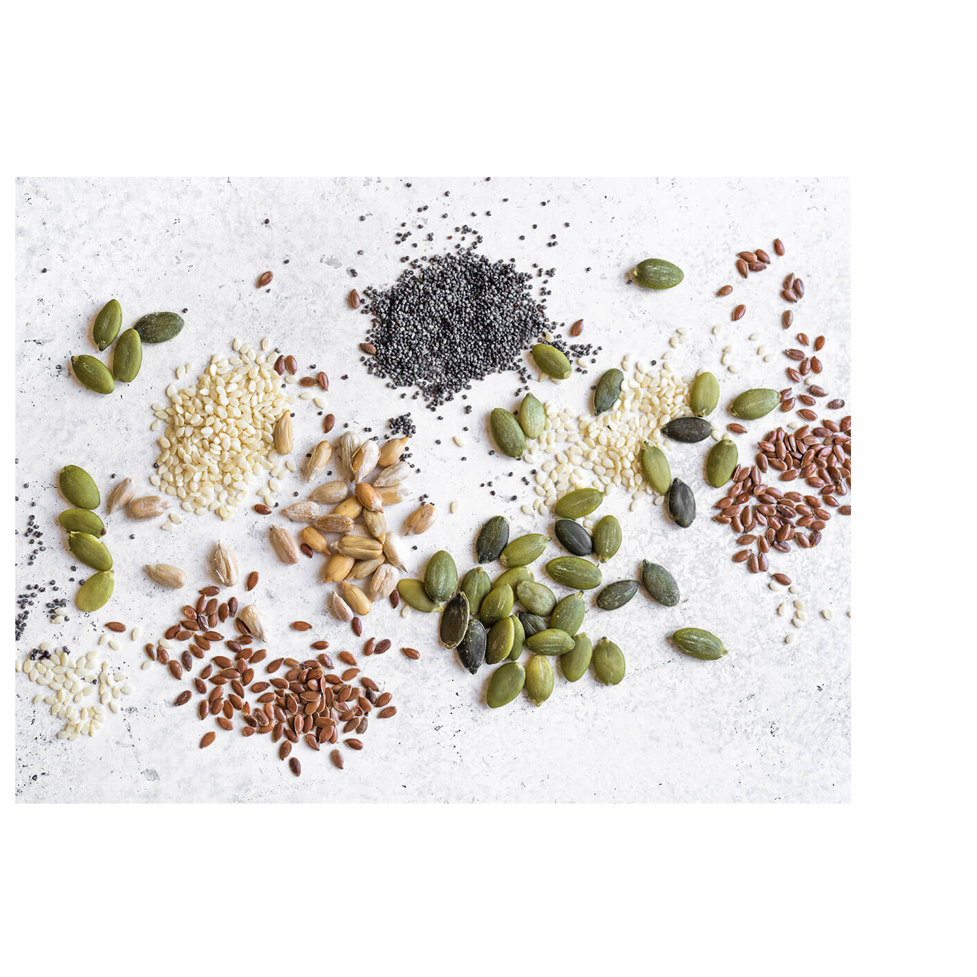 Seeds Exporters, Wholesaler & Manufacturer | Globaltradeplaza.com