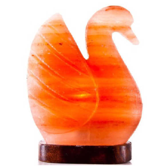 resources of Swan Salt Lamp exporters