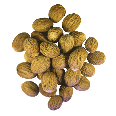 resources of nutmeg rimple exporters