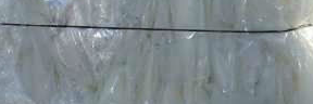 company-banner