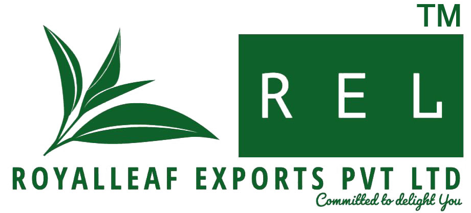 company-banner