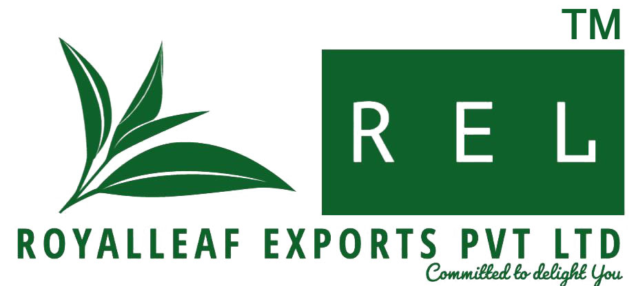 company-banner