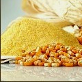 Corn / Maize Exporters, Wholesaler & Manufacturer | Globaltradeplaza.com