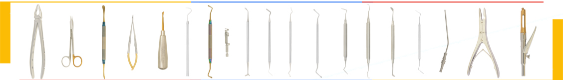 company-banner
