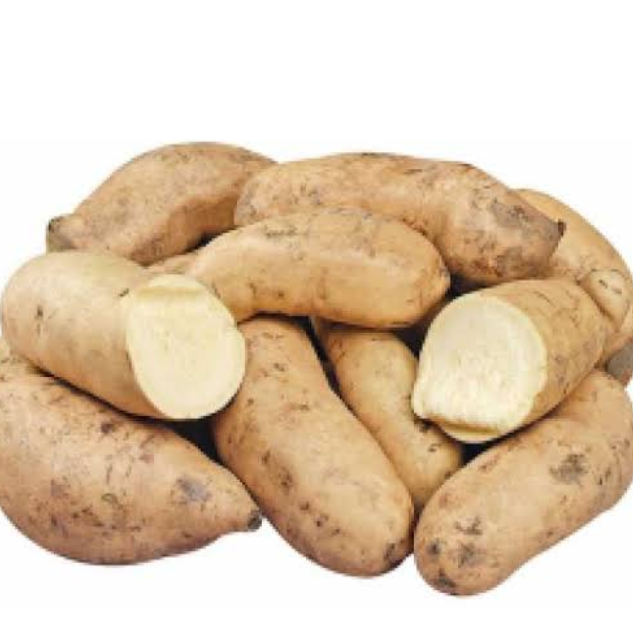 White Sweet Potatoes Exporters, Wholesaler & Manufacturer | Globaltradeplaza.com
