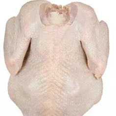 Frozen Whole Chicken (700-2400g) Exporters, Wholesaler & Manufacturer | Globaltradeplaza.com