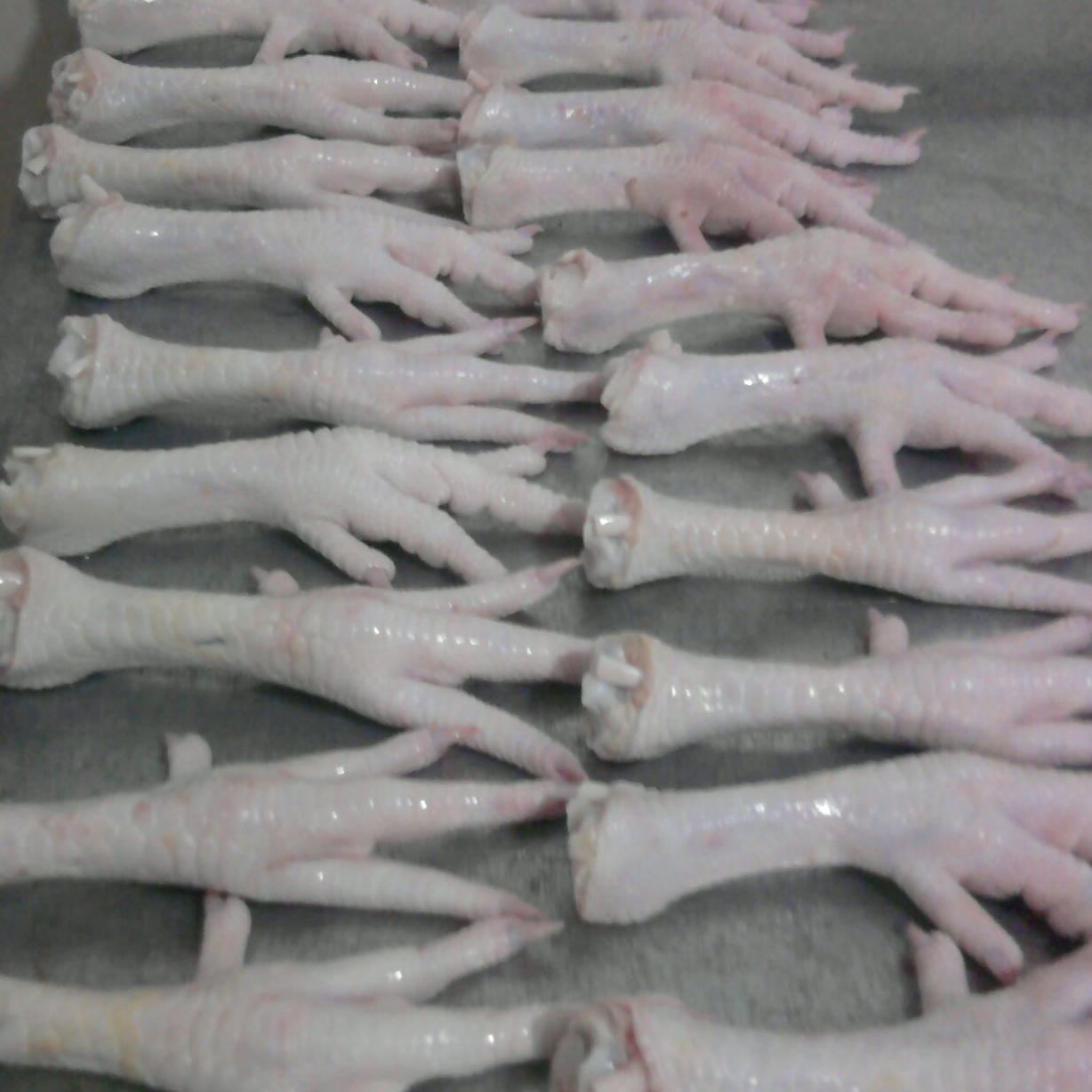 buy-wholesale-canada-frozen-chicken-foot-for-sale-frozen-chicken-feet