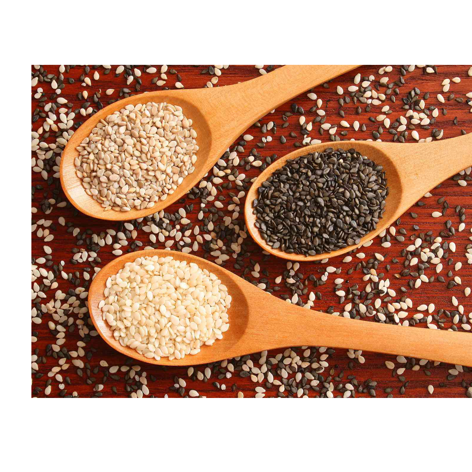 Sesame seeds Exporters, Wholesaler & Manufacturer | Globaltradeplaza.com