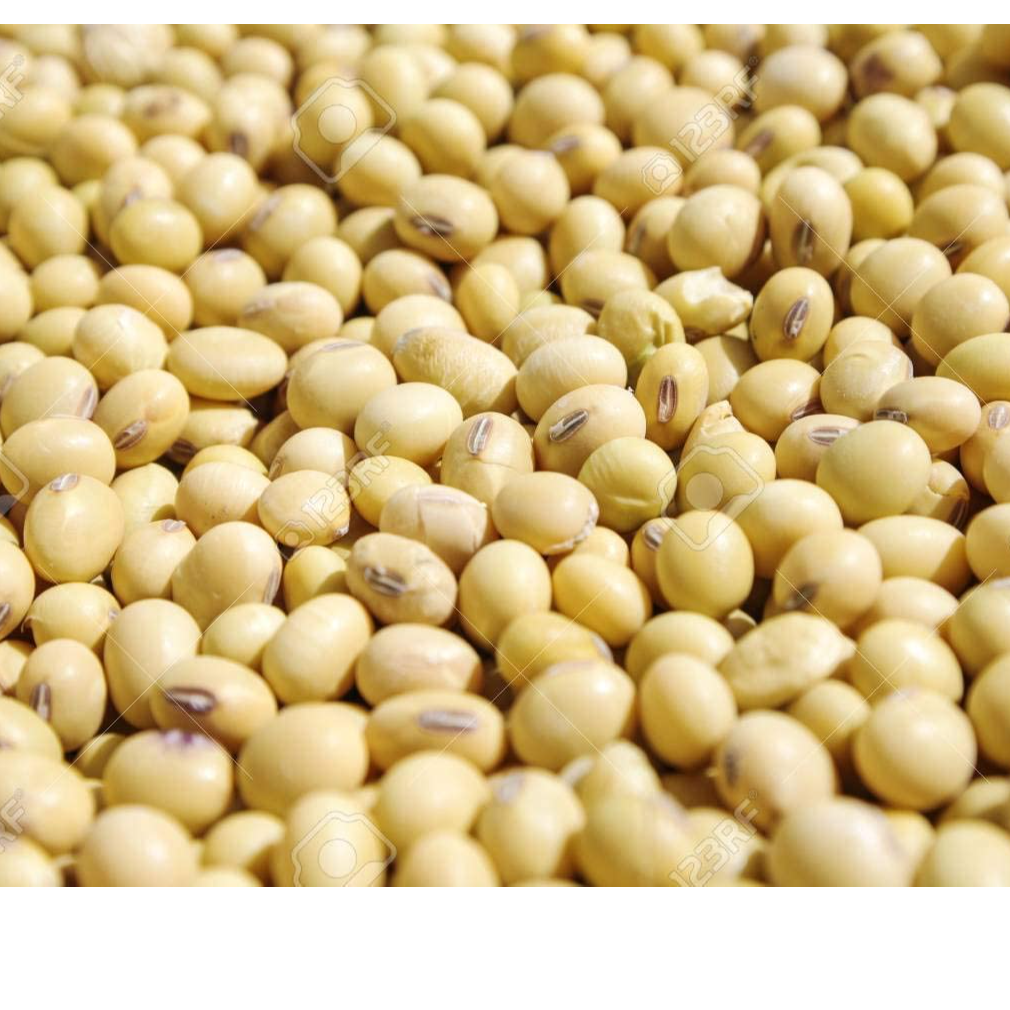 resources of Soya beans exporters