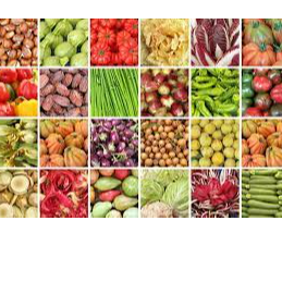 resources of Agricultural Products exporters