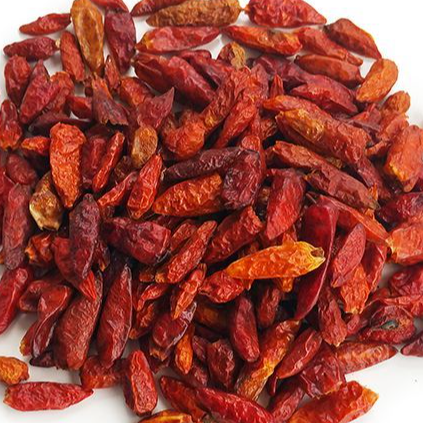 Chili pepper( Birds Eye) Exporters, Wholesaler & Manufacturer | Globaltradeplaza.com