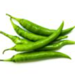 Green chilli Exporters, Wholesaler & Manufacturer | Globaltradeplaza.com