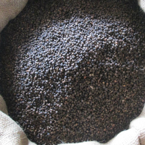 Kenyan Black pepper Exporters, Wholesaler & Manufacturer | Globaltradeplaza.com