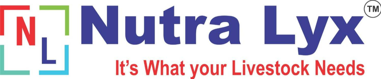 company-banner
