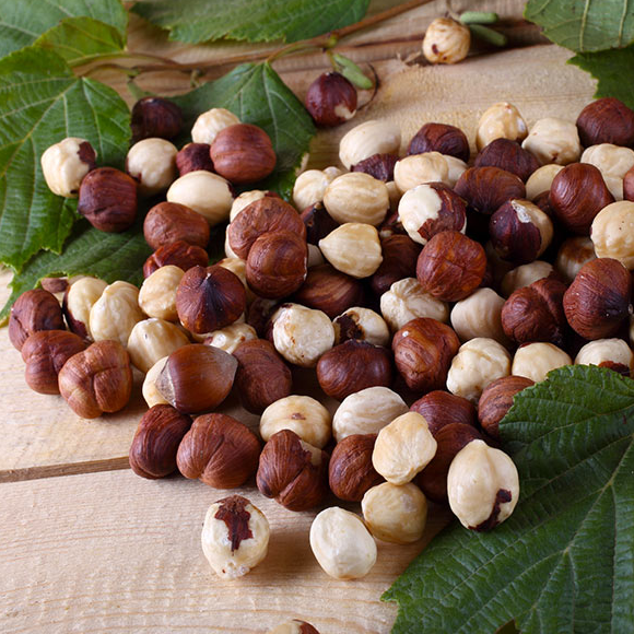 Hazelnuts Exporters, Wholesaler & Manufacturer | Globaltradeplaza.com