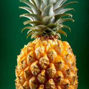 Pineapple Exporters, Wholesaler & Manufacturer | Globaltradeplaza.com