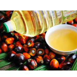 Palm Oil Exporters, Wholesaler & Manufacturer | Globaltradeplaza.com
