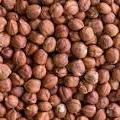 Hazelnut kernels Exporters, Wholesaler & Manufacturer | Globaltradeplaza.com