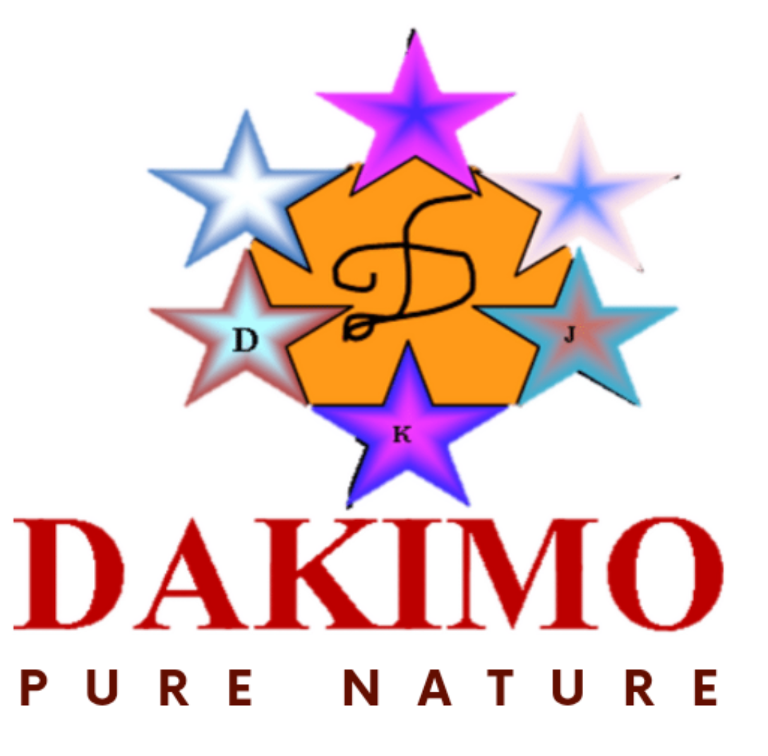 Dakimo corporation SARL