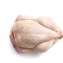Poultry (chicken) Exporters, Wholesaler & Manufacturer | Globaltradeplaza.com