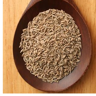Cumins seeds Exporters, Wholesaler & Manufacturer | Globaltradeplaza.com