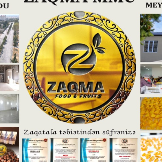 Zaqma LLC