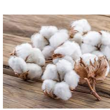 Cotton Exporters, Wholesaler & Manufacturer | Globaltradeplaza.com