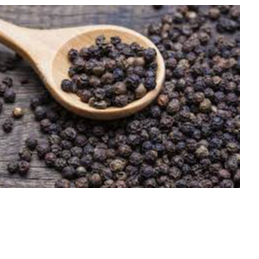 Black Pepper Exporters, Wholesaler & Manufacturer | Globaltradeplaza.com