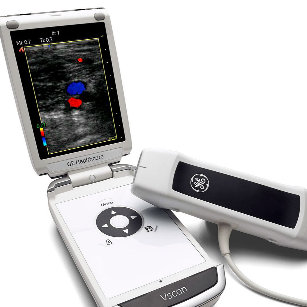 Buy & Import GE Vscan Dual Probe Wholesale - Sold by PT. SUHANDA HASNAN ...