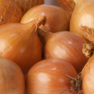 fresh Yellow and red onions Exporters, Wholesaler & Manufacturer | Globaltradeplaza.com