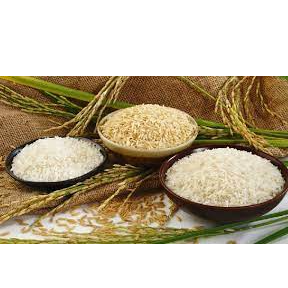 organic rice Exporters, Wholesaler & Manufacturer | Globaltradeplaza.com