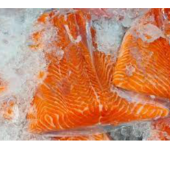 resources of Salmon Trout(Fresh Fillets,	Frozen Fillets) exporters