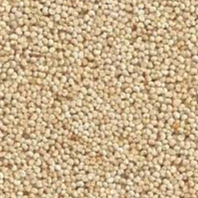 Poppy Seeds Exporters, Wholesaler & Manufacturer | Globaltradeplaza.com