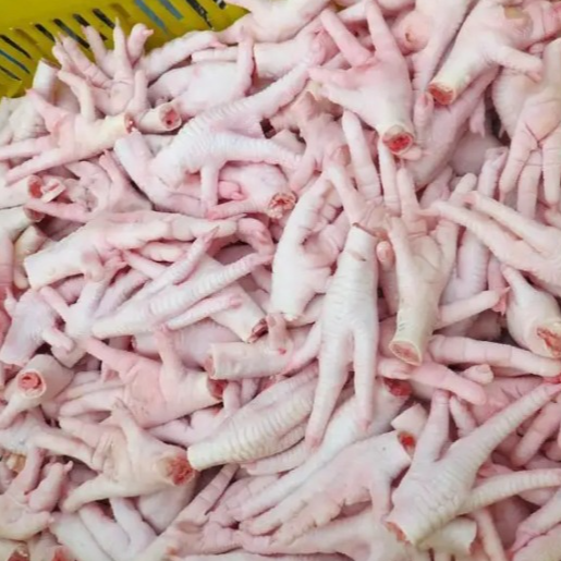 Frozen chicken feet paws in bulk for sale, Exporters, Wholesaler & Manufacturer | Globaltradeplaza.com