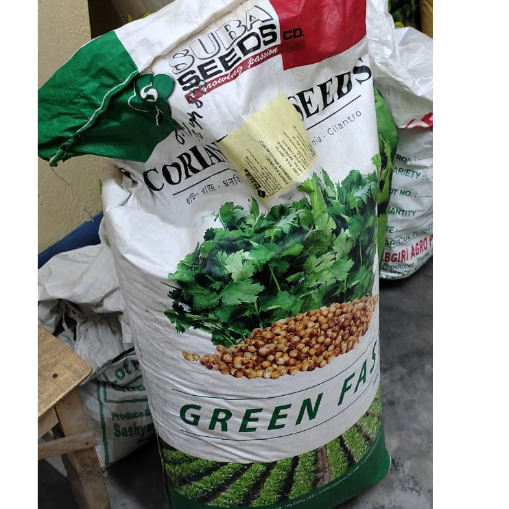 Moroccan Hybrid Coriander Seeds ( Green Fast ) exporter and supplier
