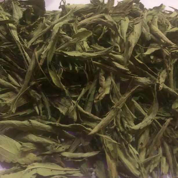 Stevia Dry Leaf Exporters, Wholesaler & Manufacturer | Globaltradeplaza.com