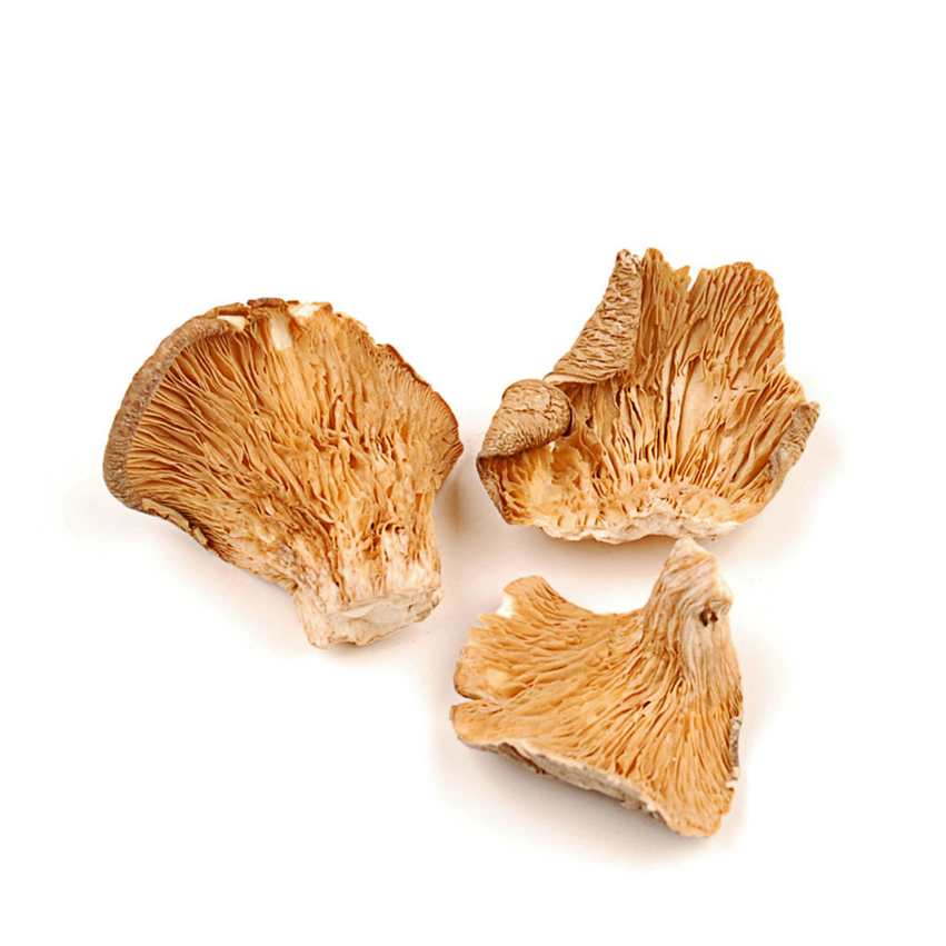 Buy Dried Oyster Mushrooms Online From Exporters Sellers And Suppliers In Turkey