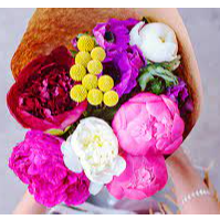 resources of Fresh cut roses and summer flowers exporters