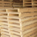 Wooden pallets Exporters, Wholesaler & Manufacturer | Globaltradeplaza.com