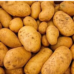 resources of Potatos exporters