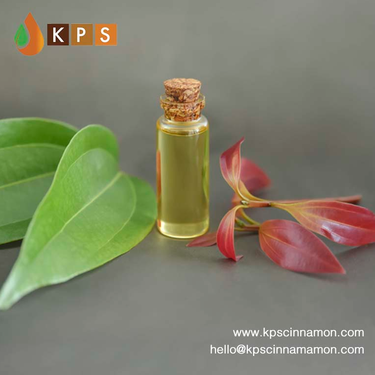 resources of Ceylon Cinnamon Leaf Oil exporters