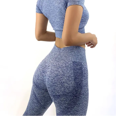 resources of Sport Suit Women Fitness Clothing Sport Wear Yoga exporters