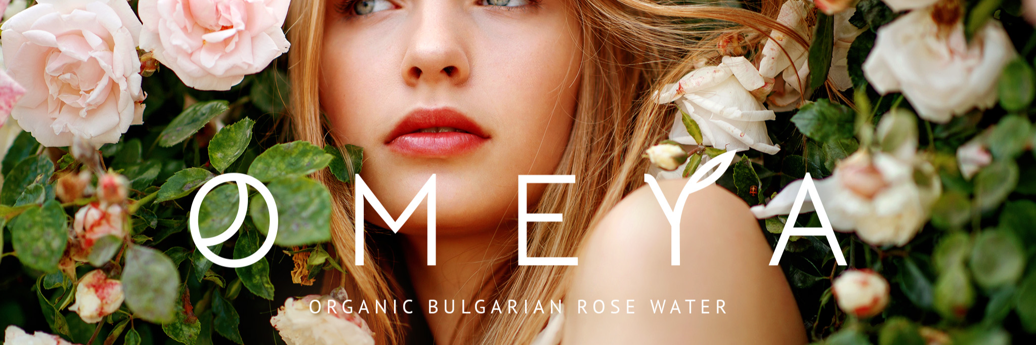 company-banner