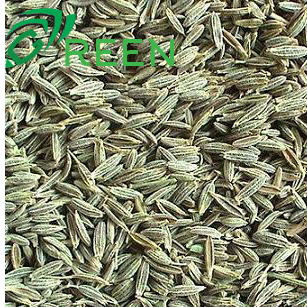 resources of Egyptian Cumin High Quality exporters