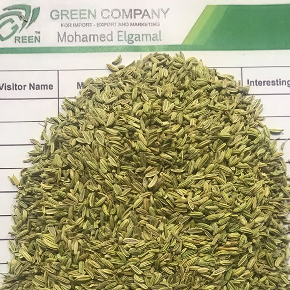 Fennel From Egypt exporter and supplier from Egypt