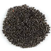 Basil seeds Exporters, Wholesaler & Manufacturer | Globaltradeplaza.com