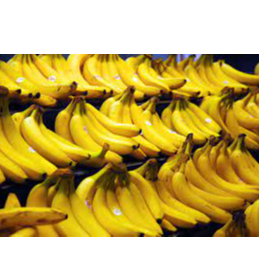 Banana (MHI TRADING) Exporters, Wholesaler & Manufacturer | Globaltradeplaza.com