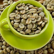 Green Coffee Exporters, Wholesaler & Manufacturer | Globaltradeplaza.com